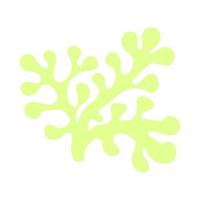 alga marina piatto vettore cartone animato colore illustrazione su bianca sfondo