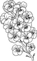 schizzo mazzo di viola del pensiero fiori, schizzo viola fiore disegno, fiore grappolo disegno, facile fiore colorazione pagine, fiore colorazione pagina per bambini, viola viole del pensiero disegno. clip arte semplice viola del pensiero disegno vettore