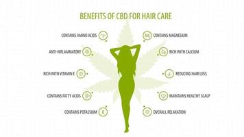 benefici medici del CBD per la cura dei capelli, poster infografico bianco con icone di benefici medici e silhouette di una giovane ragazza vettore