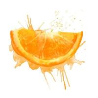 acquerello fresco estate illustrazione di arancia. isolato illustrazione su un' bianca sfondo, per cartoline, modelli, e tessili. vettore