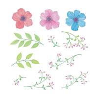 botanico fiori e foglie, colorito mano disegnato acquerello vettore illustrazione per saluto carta o invito design