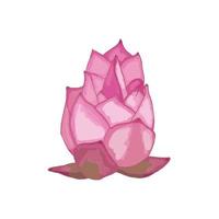 bocciolo di loto rosa dipinto con un pennello su uno sfondo bianco. immagine vettoriale isolato su uno sfondo bianco