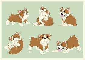 bulldog cartone animato impostato vettore