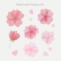 impostato di bellissimo mano disegnato acquerello sakura fiori con petali vettore