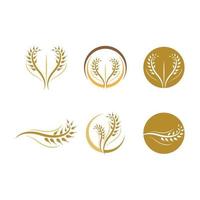 immagini del logo di grano vettore