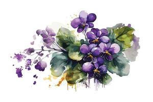 acquerello vivace violette fiore illustrazione design vettore