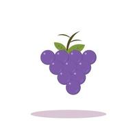 mano disegnare uva frutta illustrazione vettore