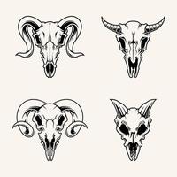 illustrazione vettore grafico di selvaggio animale cranio adatto per maglietta design