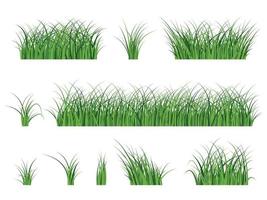 frammento di un bellissimo prato verde isolato su uno sfondo bianco, illustrazione vettoriale