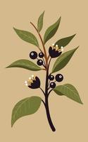 botanico meraviglie un' collezione di sbalorditivo pianta illustrazioni vettore