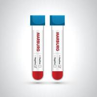 sangue campione tubo positivo per marburgo virus, sangue nel il test tubo icona. vettore illustrazione. il sangue fiala e test kit. esso può essere Usato nel medico materiali, striscioni, manifesti, e riviste.