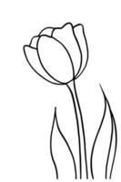 schema tulipano fiore isolato su bianca sfondo vettore