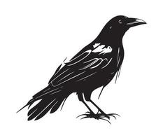 nero uccelli Corvo, corvo, torre o taccola. vettore illustrazione nel retrò stile