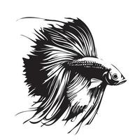 betta pesce vettore illustrazione, combattente pesce logo design