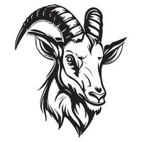 testa di capra vettore illustrazione, capra logo