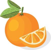 arancia con le foglie e arancia fetta. vettore illustrazione. frutta.