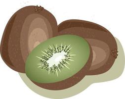 vettore Immagine di Kiwi. Kiwi tagliare. tre Kiwi su un' bianca sfondo.