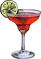 cocktail. cocktail menù. vettore illustrazione