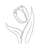 tulipani linea arte disegno vettore