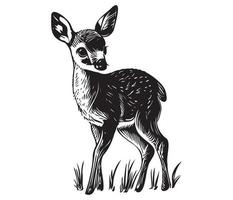 illustrazione di giovane cervo, bambino cervo icona nero e bianca vettore