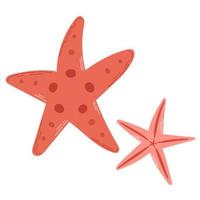 Due corallo stella marina isolato su bianca sfondo. moderno piatto cartone animato stile. vettore