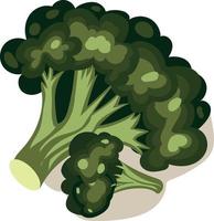 vettore Immagine di broccoli. broccoli. un' pezzo di broccoli. verde broccoli.