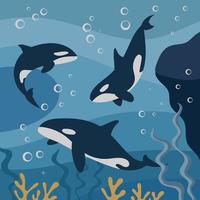 Illustrazione di killer whales vettore