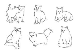 carattere della linea di gatto. illustrazioni di disegno vettoriale stile disegnato a mano.