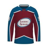 realistico ghiaccio hockey camicia di Colorado, maglia modello vettore