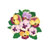 motivo floreale. bouquet di fiori Heartsease isolato su sfondo bianco. decorazioni floreali disegnate a fiori per la progettazione di biglietti di auguri, illustrazione botanica del giardino vettore