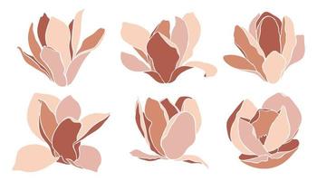 impostato di magnolia fiori nel minimalista stile, vettore illustrazione.