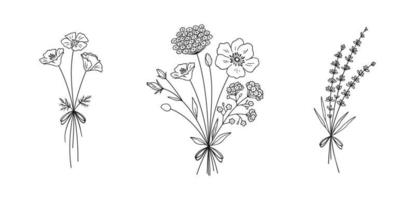 floreale linea arte mazzi di fiori impostare, vettore illustrazione.