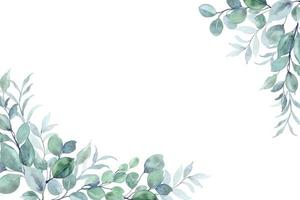 eucalipto le foglie telaio con acquerello per nozze, compleanno, carta, sfondo, invito, sfondo, etichetta, decorazione eccetera. vettore