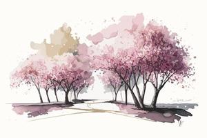 acquerello ciliegia fiorire boschetto illustrazione design vettore