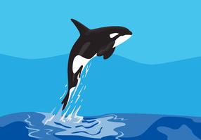 Illustrazione vettoriale di killer whales