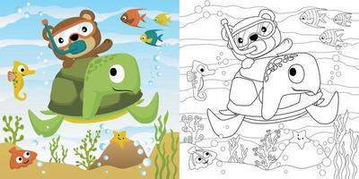 vettore cartone animato illustrazione, colorazione libro di orso equitazione su tartarughe Indietro, marino animali sottomarino
