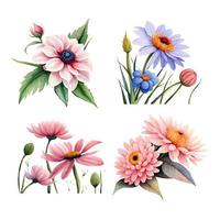 collezione di disegnato acquerello fiori vettore