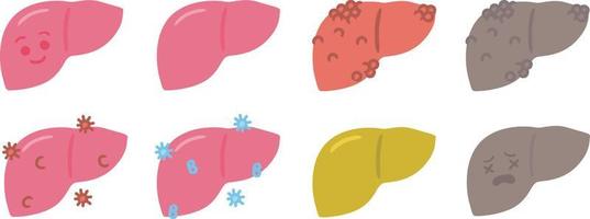 carino umano organo fegato medico anatomia cartone animato personaggio vettore