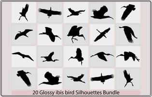 lucido ibis uccello sagoma, lucido ibis uccello silhouette fascio, lucido ibis uccello illustrazione, lucido ibis uccello vettore, vettore