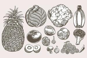 Insieme di doodle vegano raccolta di schizzi disegnati a mano modelli incisione vintage doodle. elementi isolati dettagliati su sfondo bianco, perfetti per menu, design del libro. immagini di cibo retrò vintage. vettore