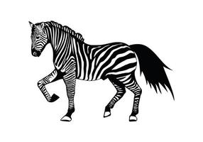 illustrazione zebra design illustrazione vettore