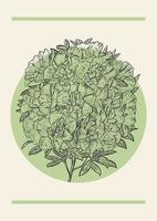 fioritura azalea fiore schizzo illustrazione manifesto. rododendro Vintage ▾ arte nel incisione stile. saluto carta e invito design vettore