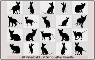 peterbald gatto, gatto razza viso cartone animato piatto icona disegno, peterbaldo gatto silhouette , peterbaldo gatto silhouette fascio, vettore
