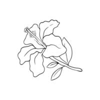 ibisco fiore linea arte. grande germoglio di un' tropicale pianta. per cartoline e inviti vettore