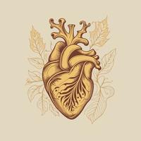 umano cuore con vene e arterie. vettore illustrazione nel Vintage ▾ stile.