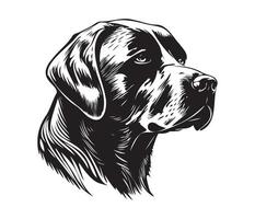 labrador cane da riporto viso, silhouette cane viso, nero e bianca labrador cane da riporto vettore