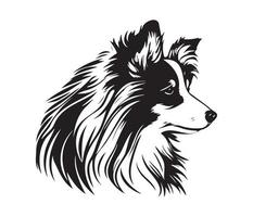Shetland cane da pastore viso, silhouette cane viso, nero e bianca Shetland cane da pastore vettore