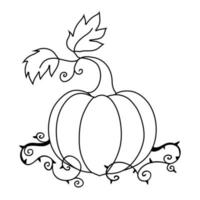 zucca icona vettore. Halloween illustrazione cartello. vettore