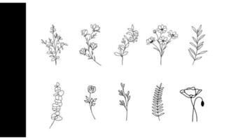 della natura diletto un' bellissimo collezione di disegnato a mano botanico illustrazioni per estate matrimoni e arredamento vettore