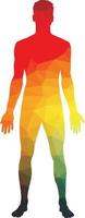 Immagine di colorato silhouette di umano corpo vettore